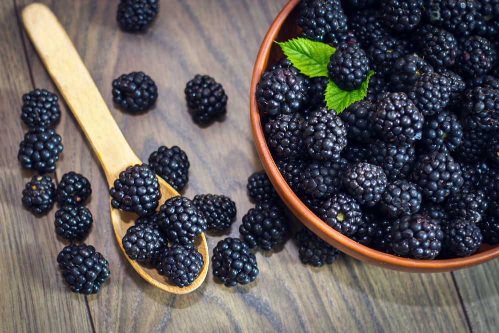 Better Than Blackberries for Our Health Genericcures