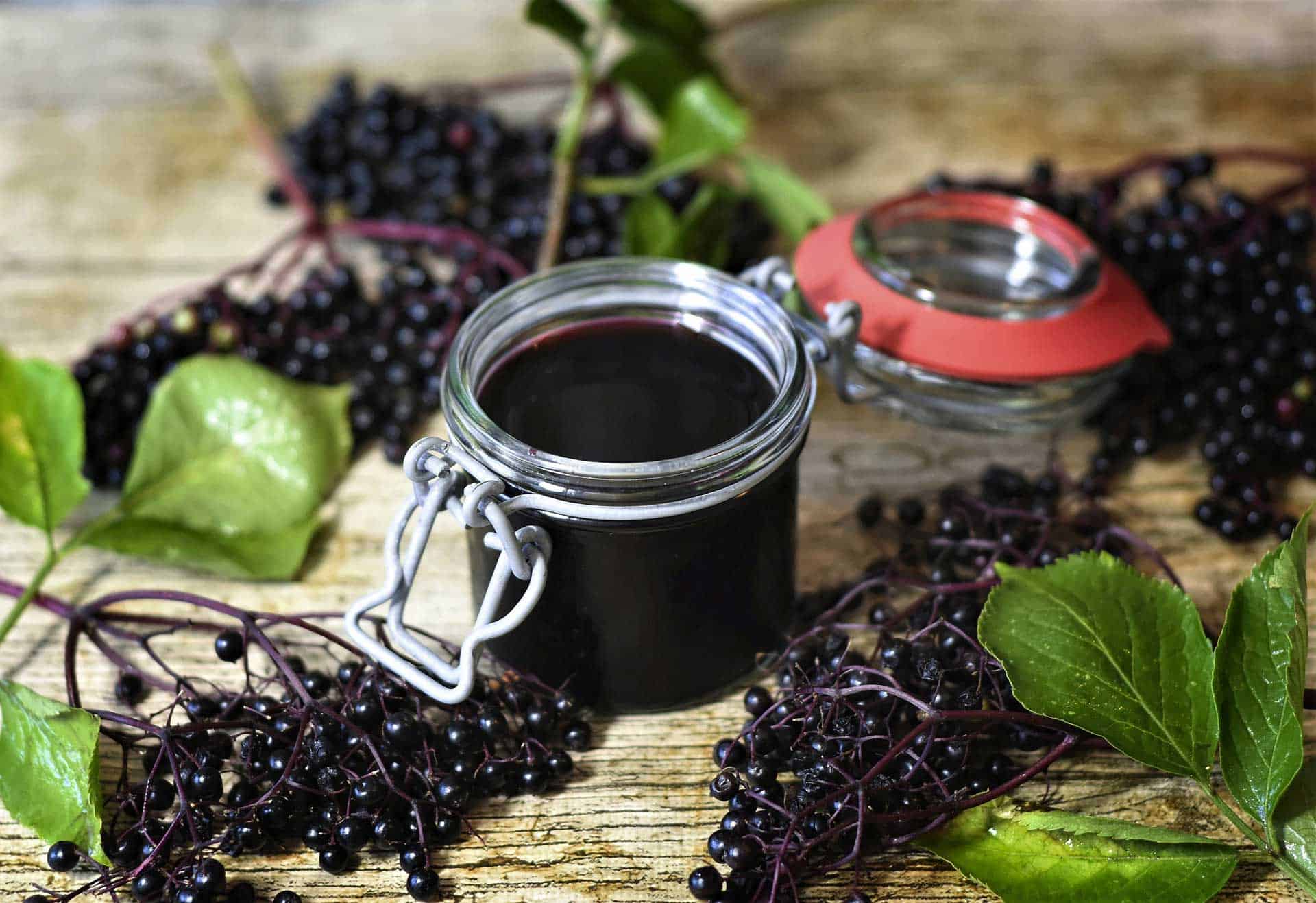 Elderberry Tea Benefits: 7 Amazing Ways It Can Change